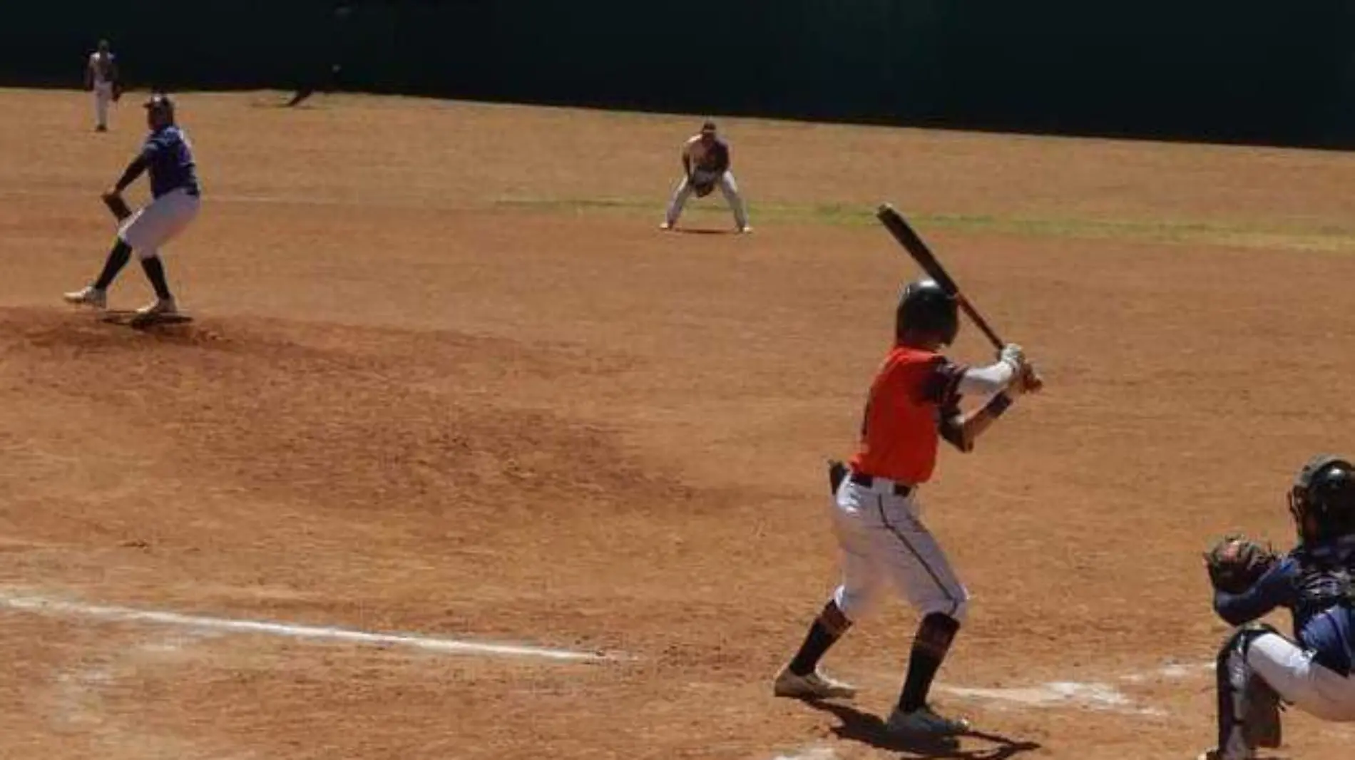 Beisbol liga palmonte